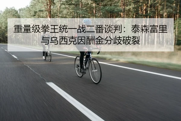 重量级拳王统一战二番谈判：泰森富里与乌西克因酬金分歧破裂