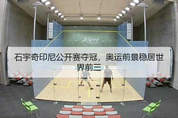 石宇奇印尼公开赛夺冠，奥运前景稳居世界前三